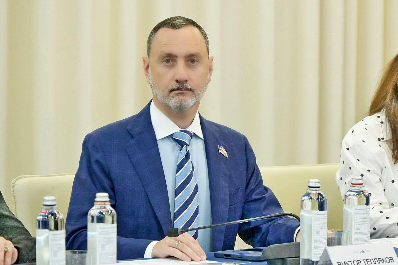 Виктор Тепляков присоединился к обсуждению на форуме «Петербургский диалог»